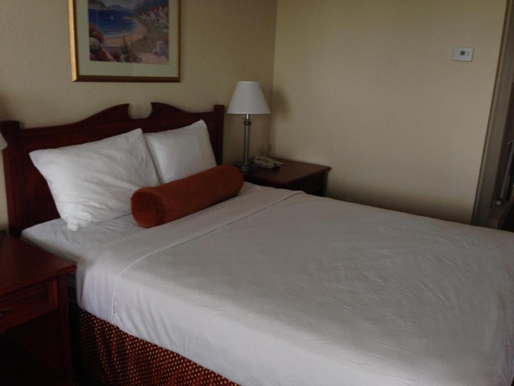 Knights Inn Lethbridge Pokój zdjęcie